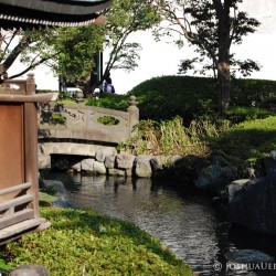 Why You Must Visit Japan - and Top Things to Do and See